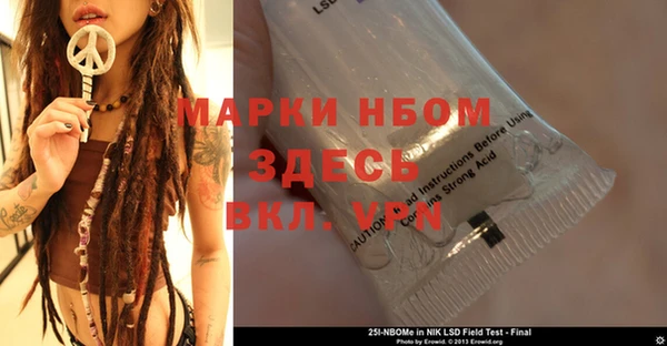 хмурый Верея