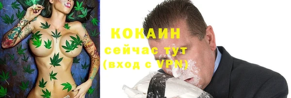 хмурый Верея