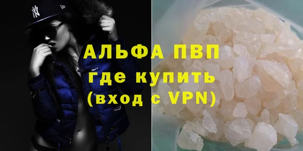 хмурый Верея