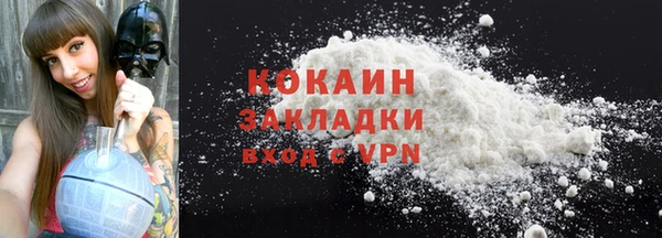 хмурый Верея