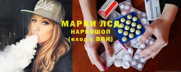 хмурый Верея