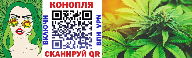 где купить наркоту  Гдов  Шишки марихуана Amnesia 